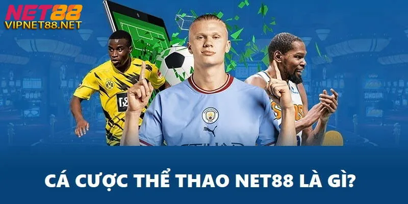 Đôi nét về thể thao NET88